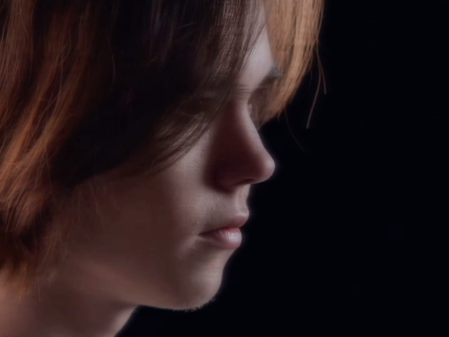 它不仅吸引 它不仅吸引